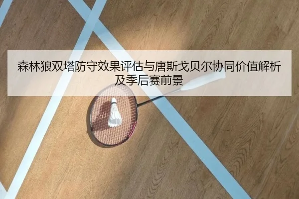 森林狼双塔防守效果评估与唐斯戈贝尔协同价值解析及季后赛前景